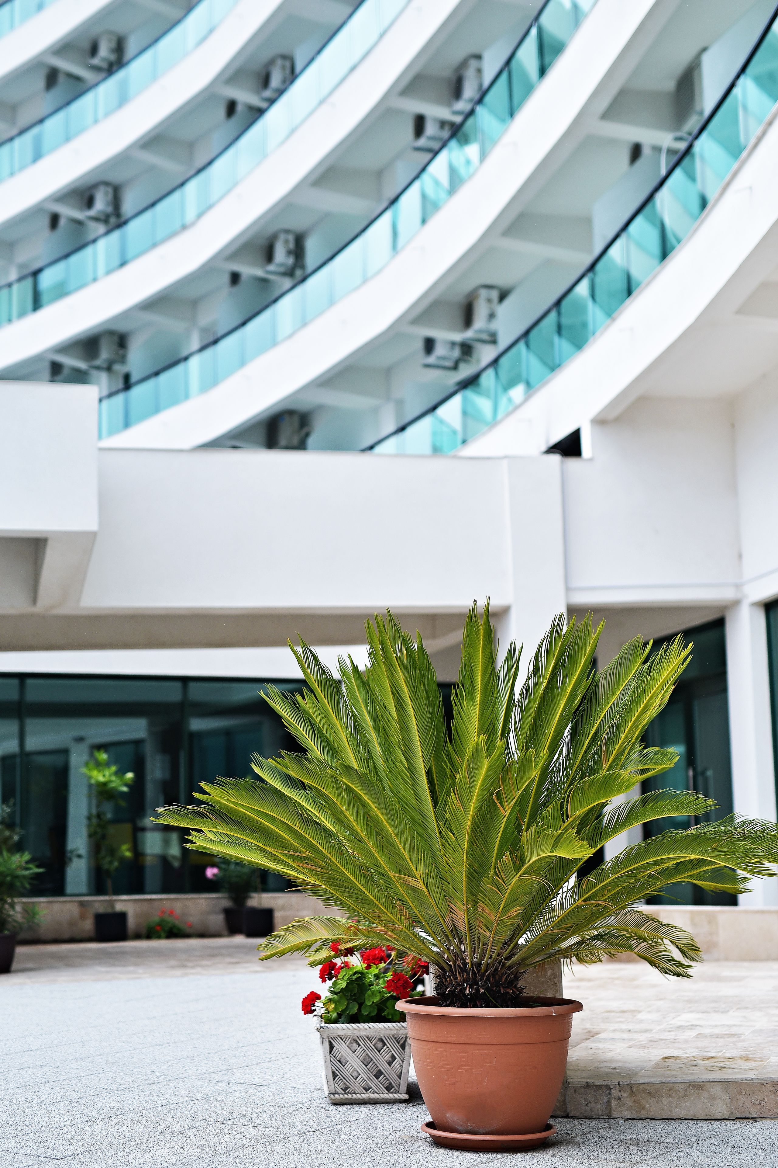 تناول الطعام بالخارج