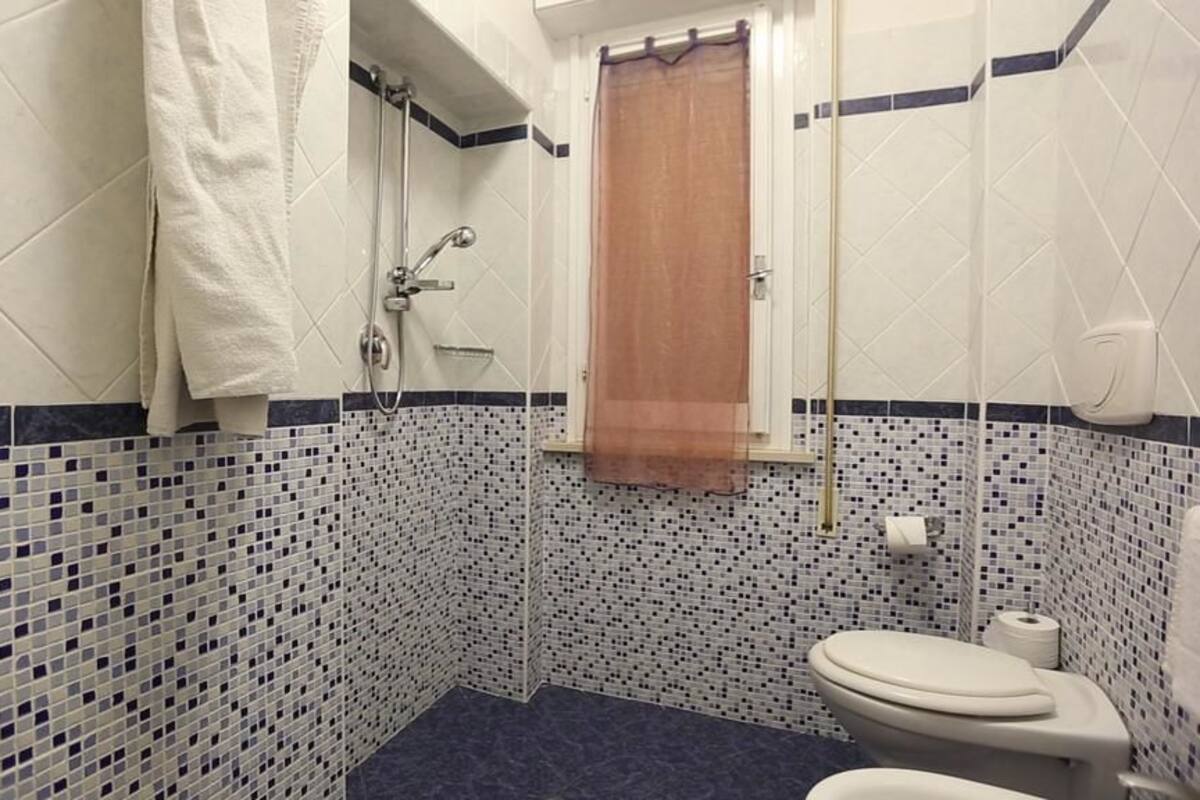Et badeværelse med bruser, toilet og håndklædeholder.