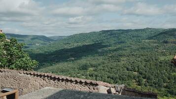 Vue sur les montagnes