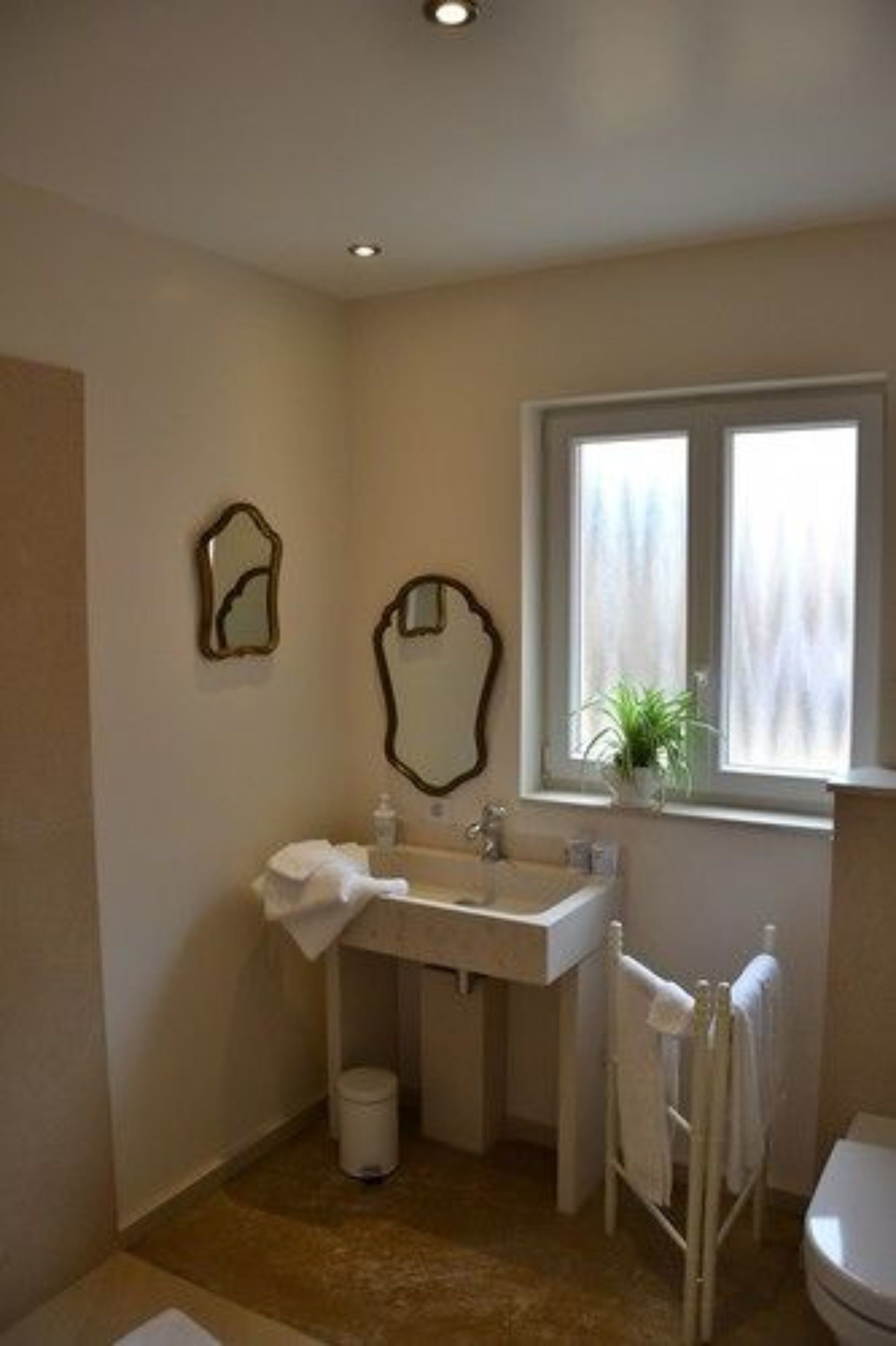 A bathroom with a sink, two mirrors, a window with a plant, and a toilet.