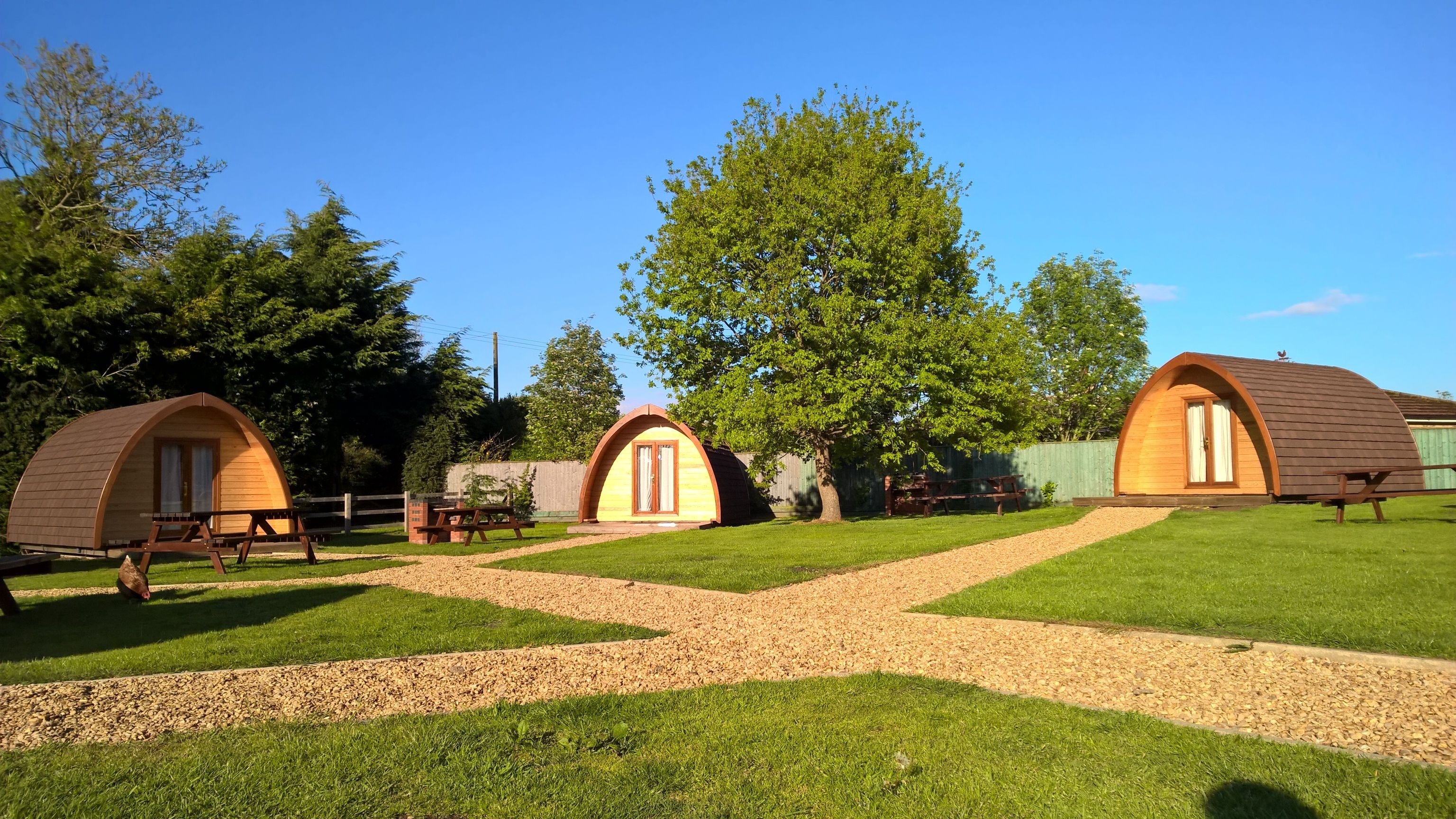 A campsite with three wooden dome-shaped cabins, each with a door and windows, arranged on a grassy area with a gravel path.
