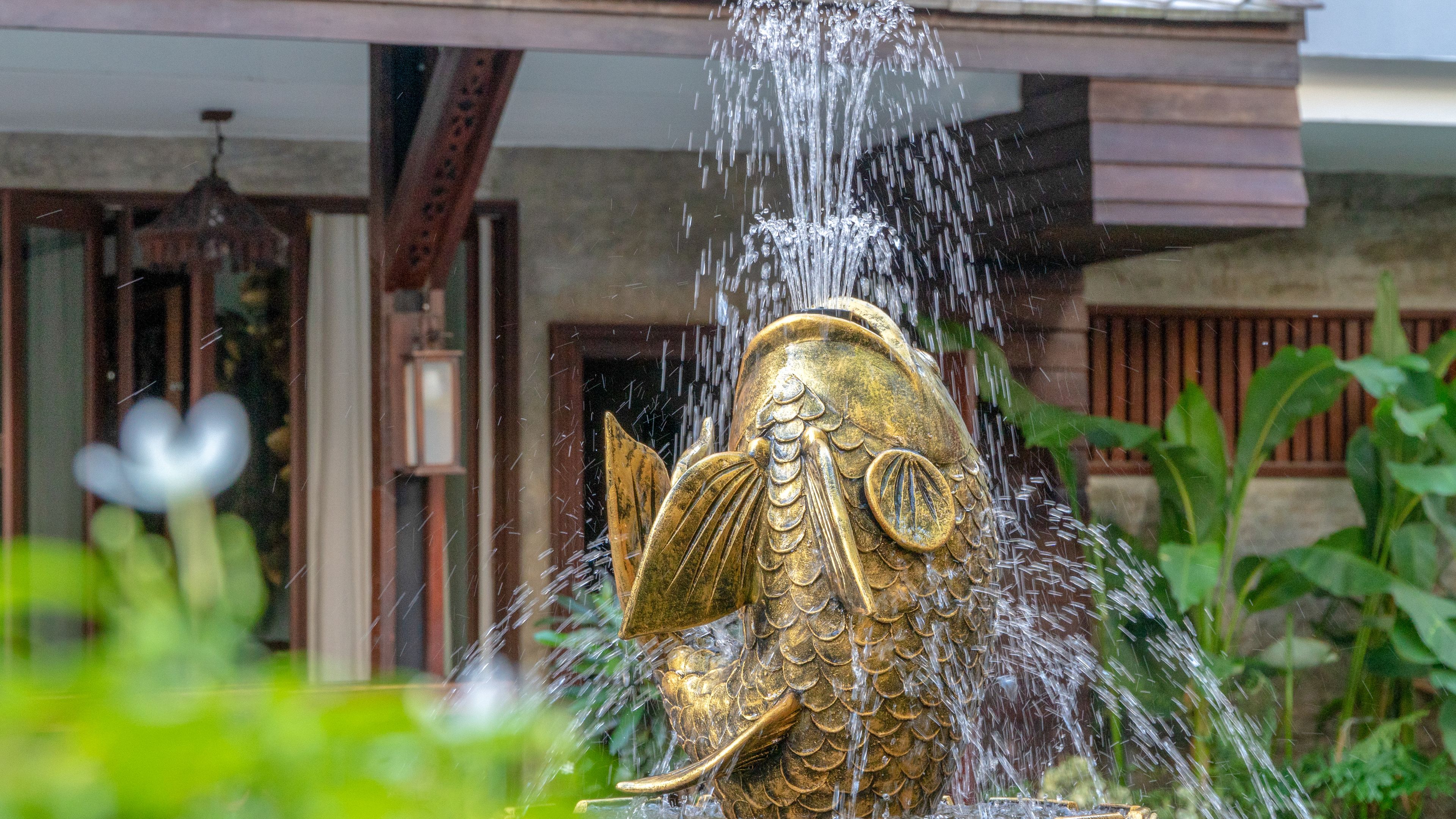 Photo - Sunny V Hotel