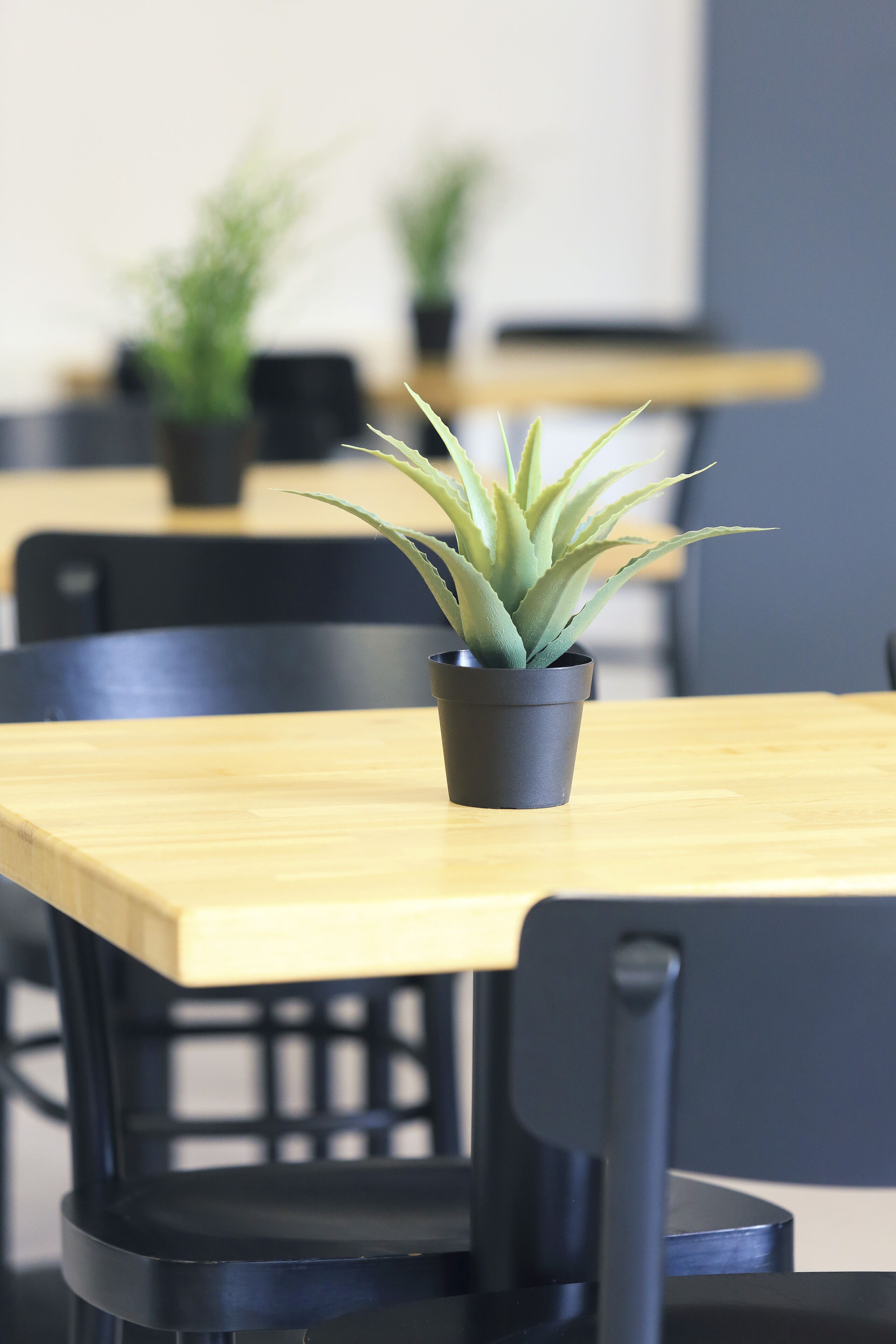 Een houten tafel met een plant in een pot op de voorgrond.