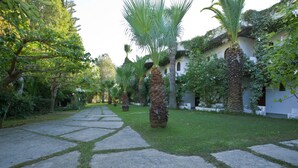A paved pathway leading through a garden with palm trees and lush greenery. - Damnoni Paradise (Agios Vasileios)