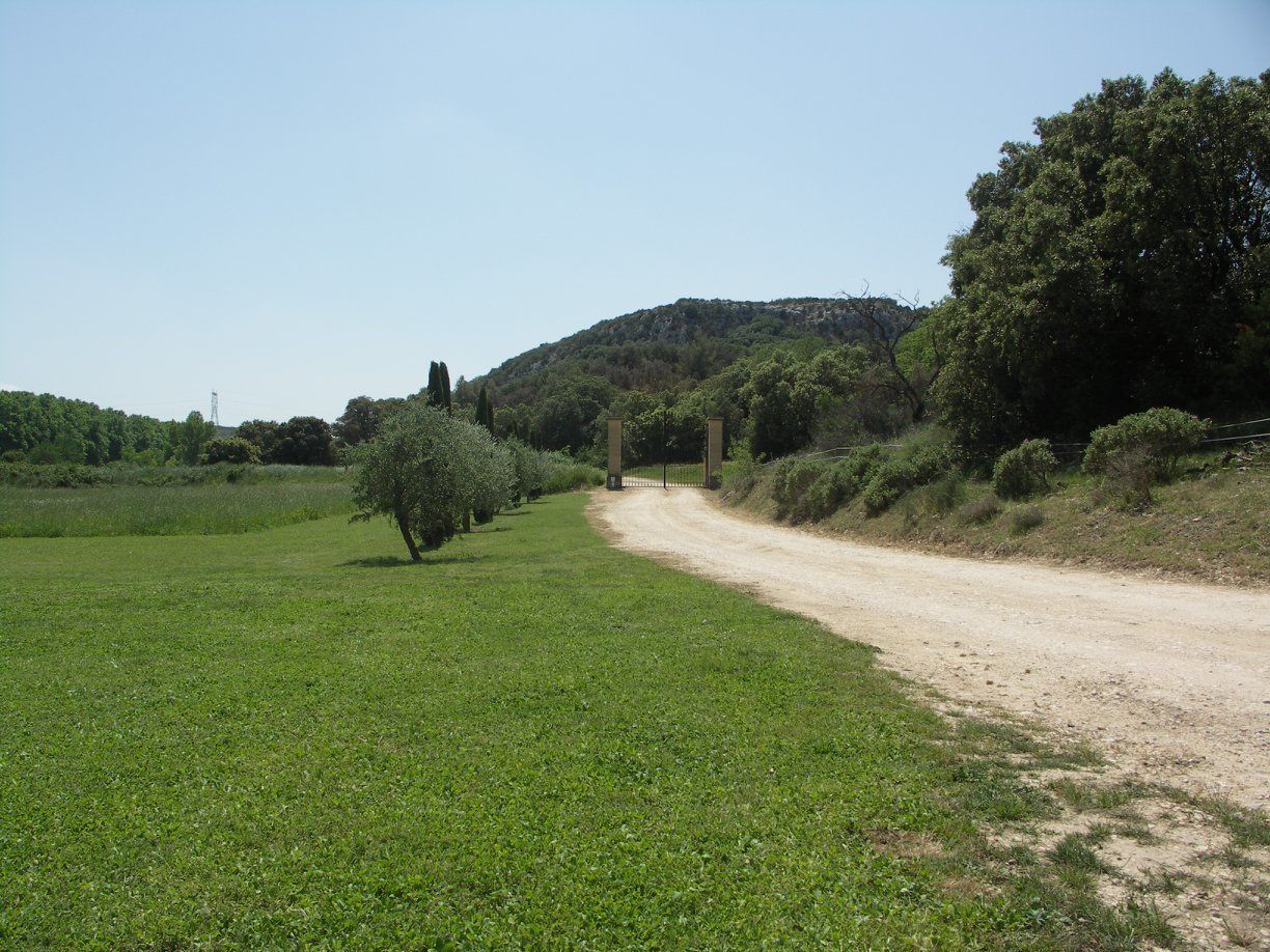 Un sendero de tierra que lleva a una reja en un campo cubierto de hierba, con árboles y una colina al fondo.