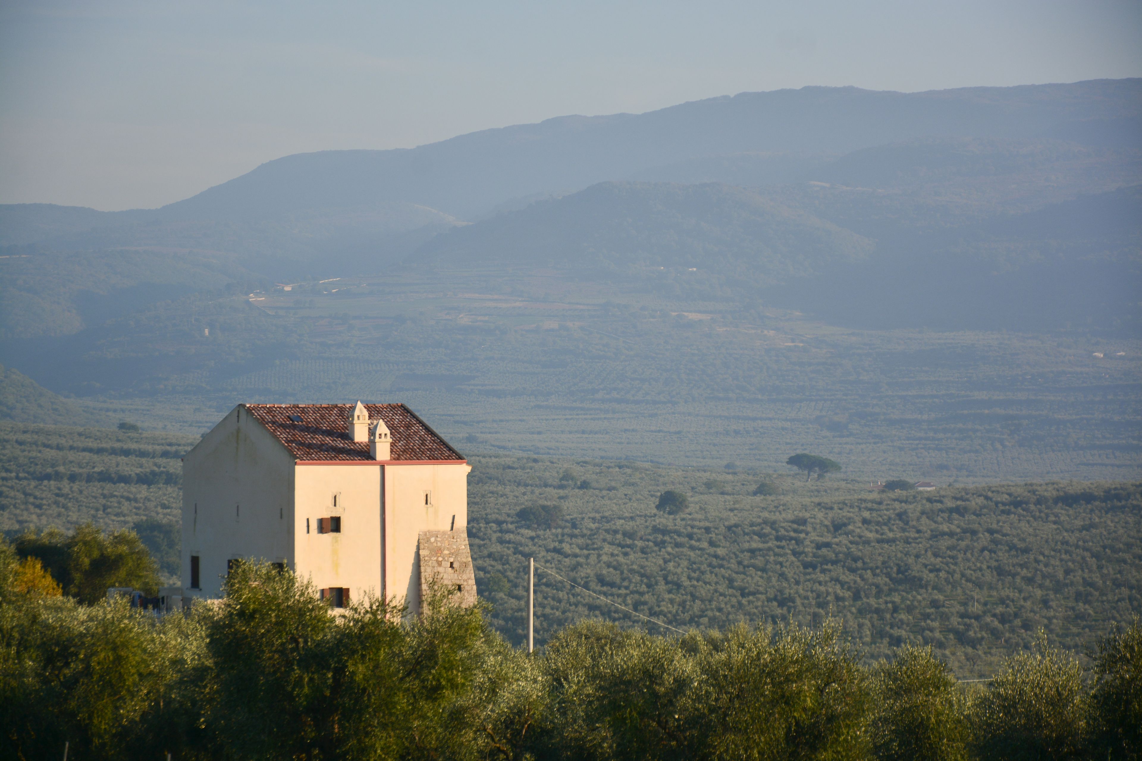A single-story building with a red-tiled roof, surrounded by dense greenery and hills in the background.