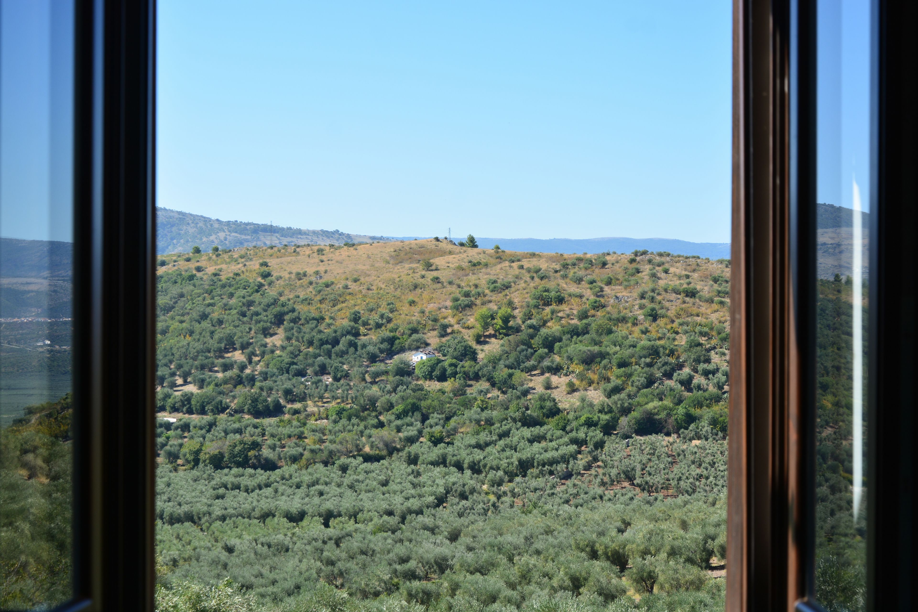 Deluxe-Dreibettzimmer | Schreibtisch, Verdunkelungsvorhänge, kostenlose Babybetten