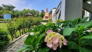 Un jardín con un sendero que lleva a un edificio.