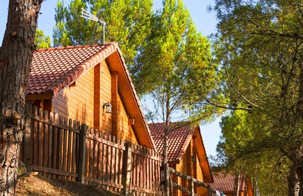 Property grounds - Camping Lago Resort (Nuevalos)