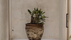 A potted plant in a rustic, weathered pot placed in a narrow, empty space with plain walls and a concrete floor. - Alacati Umitev Hotel (Cesme)