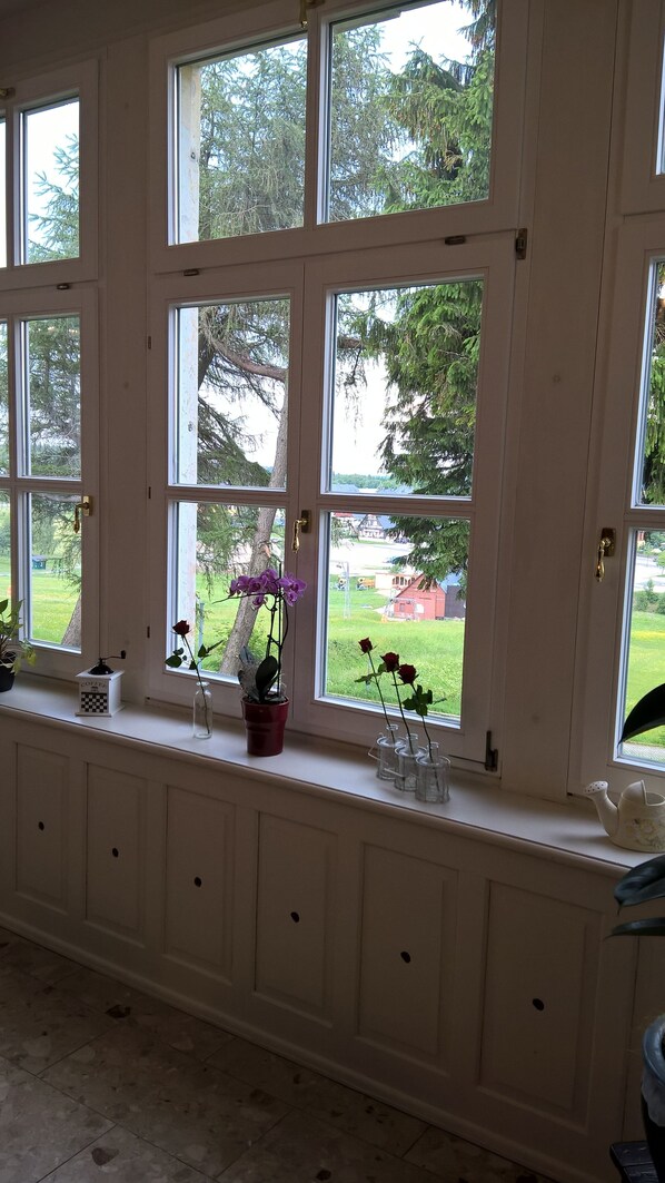 View from property - Villa Unger (Altenberg)