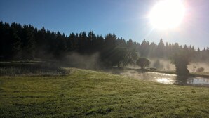 A serene landscape with a body of water, grassy areas, and a forest in the background. - Kammbaude Neuhermsdorf (Hermsdorf-Erzgebirge)