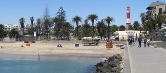 Salty Jackal Surf Camp