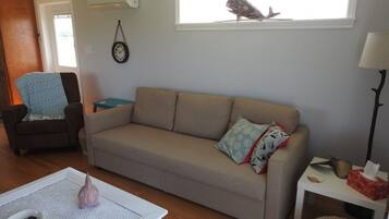 Téléviseur connecté, livres