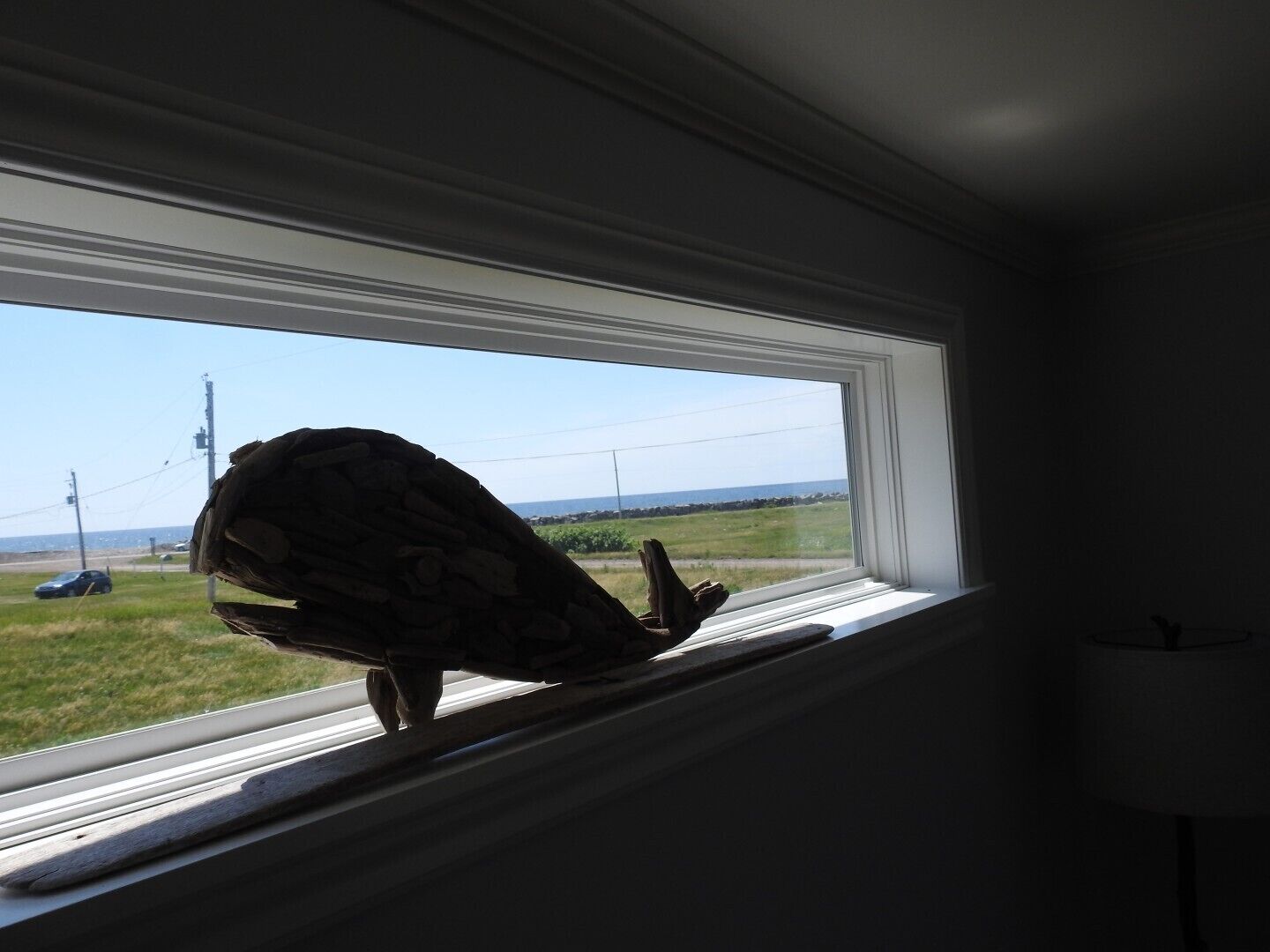 A bird perched on a window sill, overlooking a grassy area with a road and power lines in the distance.