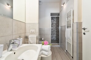 Shower, hair dryer, bidet, towels