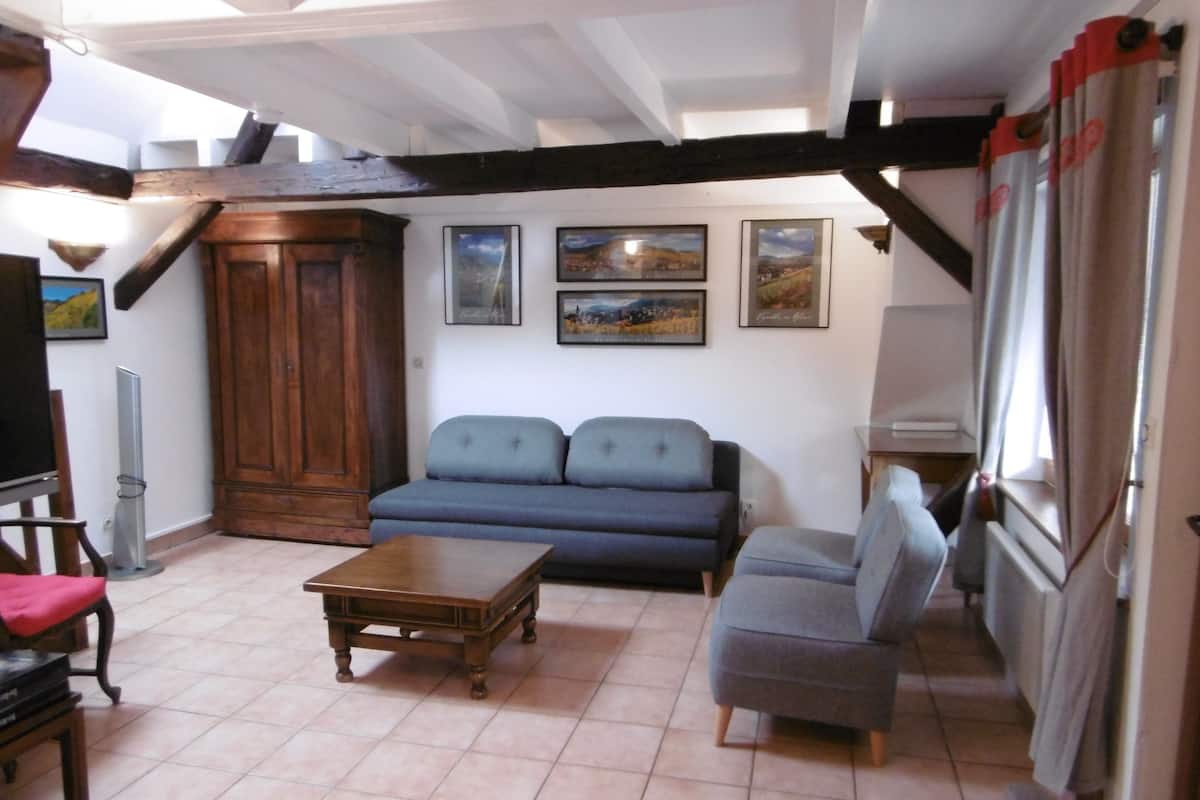 Classic Apartment, Ensuite (n°6) | Living area | 40-cm flat-screen TV with digital channels, TV, DVD player