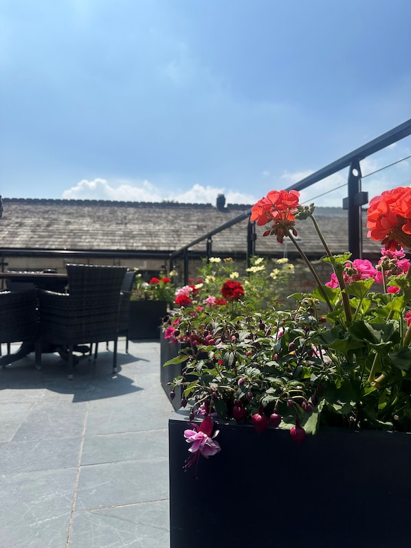 A rooftop terrace with outdoor seating and potted plants.