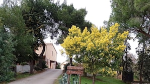 Een landweg met een bord dat richtingen naar 'Agriturismo Il Cantinieri' aangeeft.