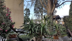 Um jardim com um vaso de pedra, uma árvore e uma planta em vaso.