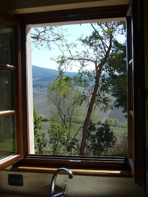 Appartement, 1 slaapkamer, op benedenverdieping | Kameruitzicht