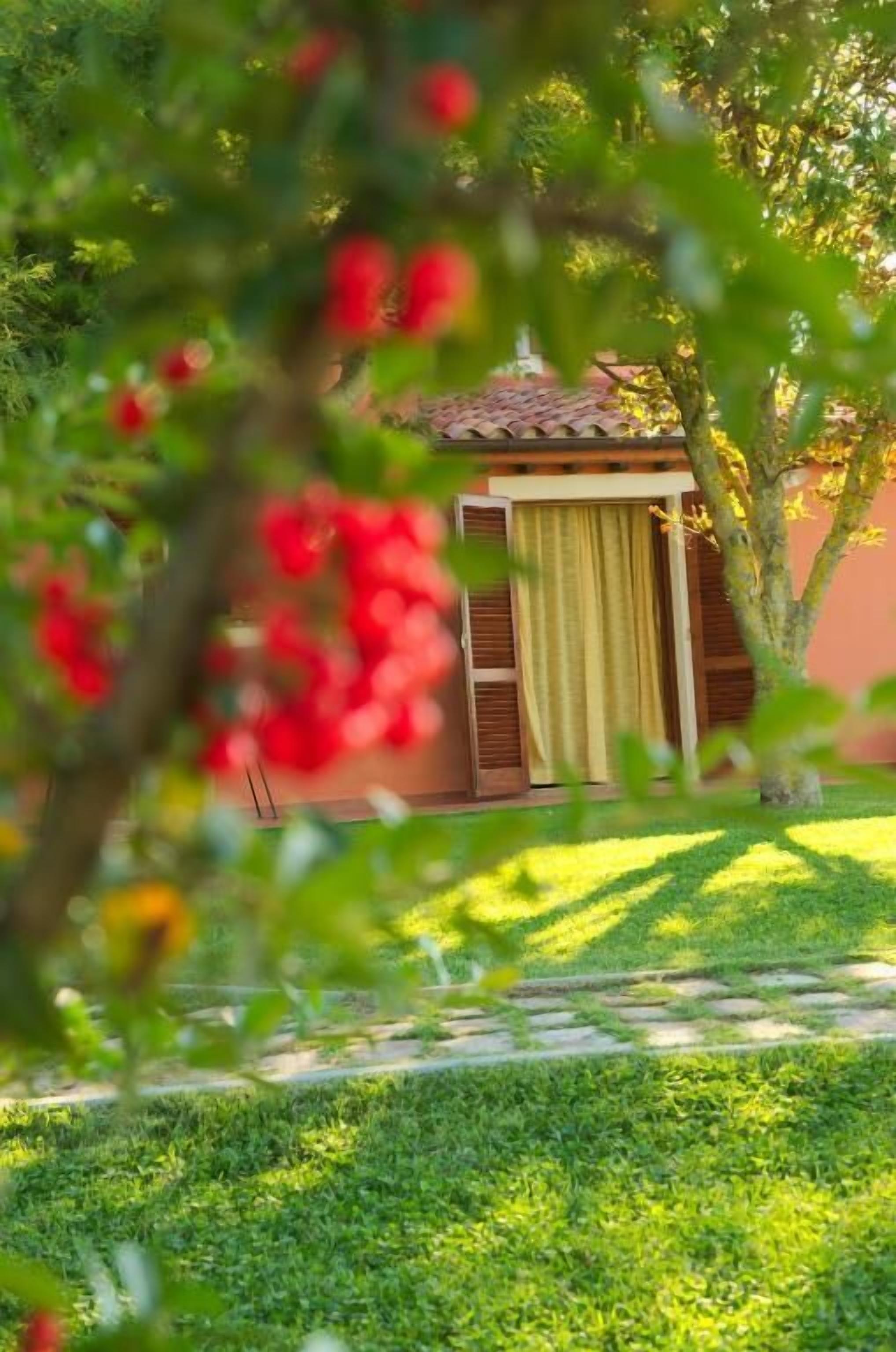 المنطقة المحيطة بالمنشأة