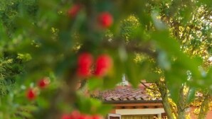 A small building with a tiled roof and a yellow curtain. - Agriturismo Fossederi (Santa Luce)
