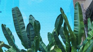 Una piscina rectangular con borde de azulejos, rodeada de sillas de descanso y una pequeña mesa.