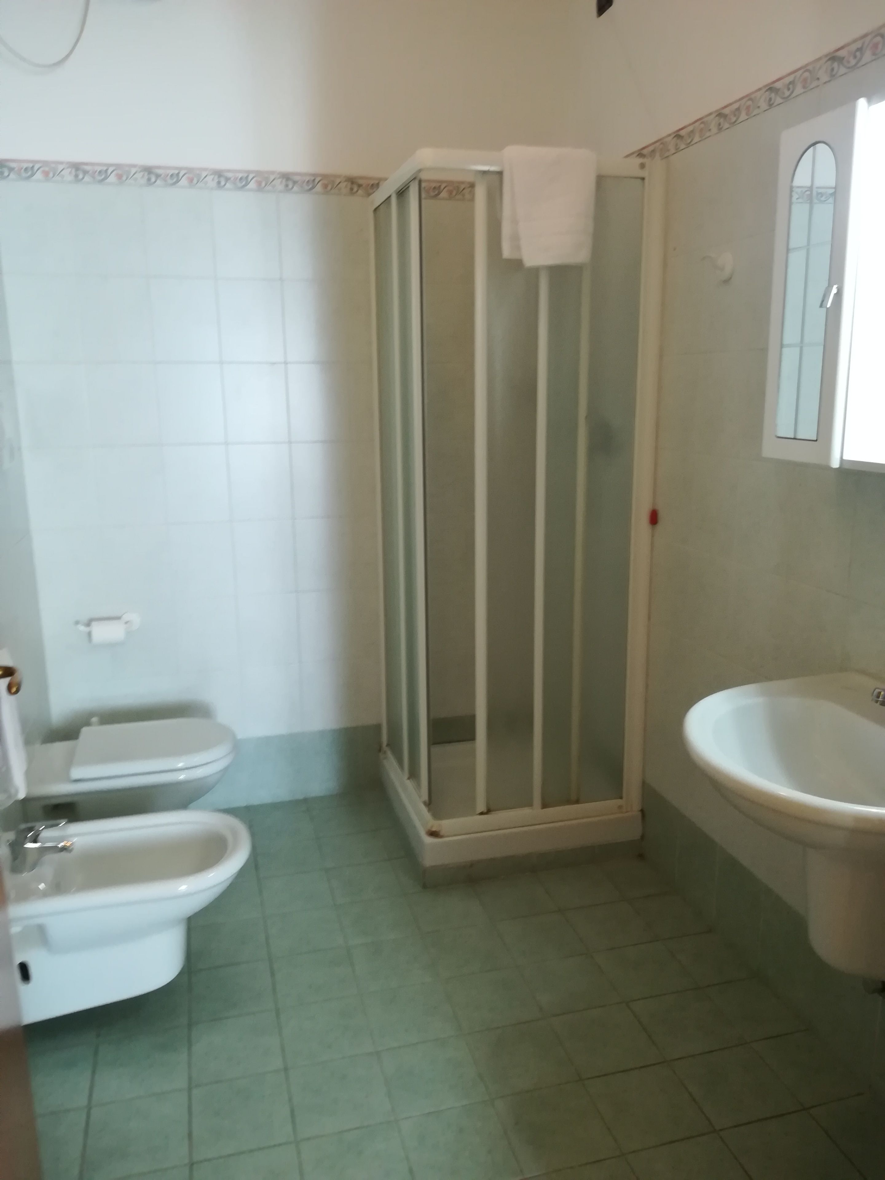 Une salle de bain équipée d’une douche, d’un bidet et d’un lavabo.