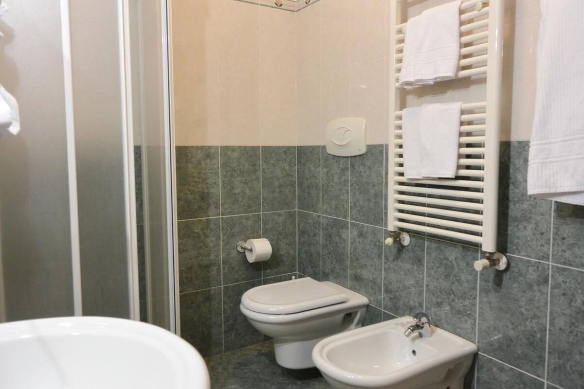 shower, free toiletries, hair dryer, bidet