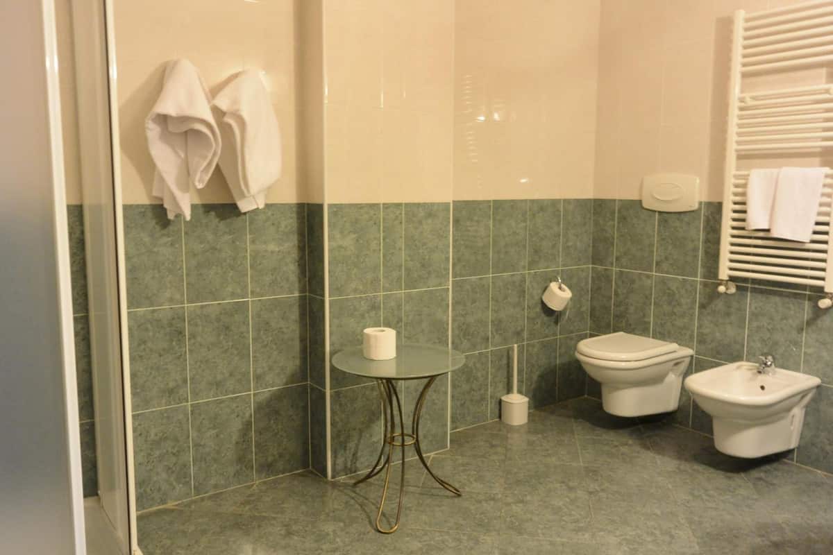 shower, free toiletries, hair dryer, bidet