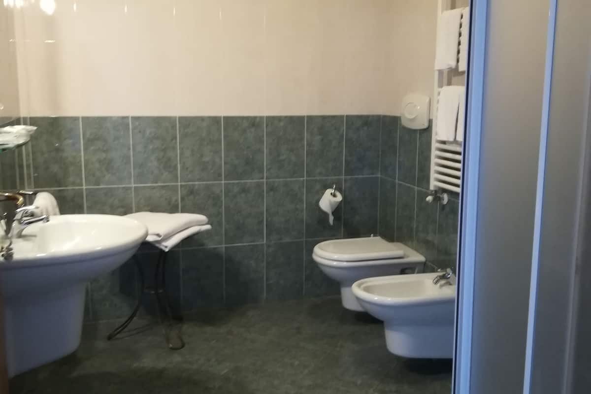 shower, free toiletries, hair dryer, bidet