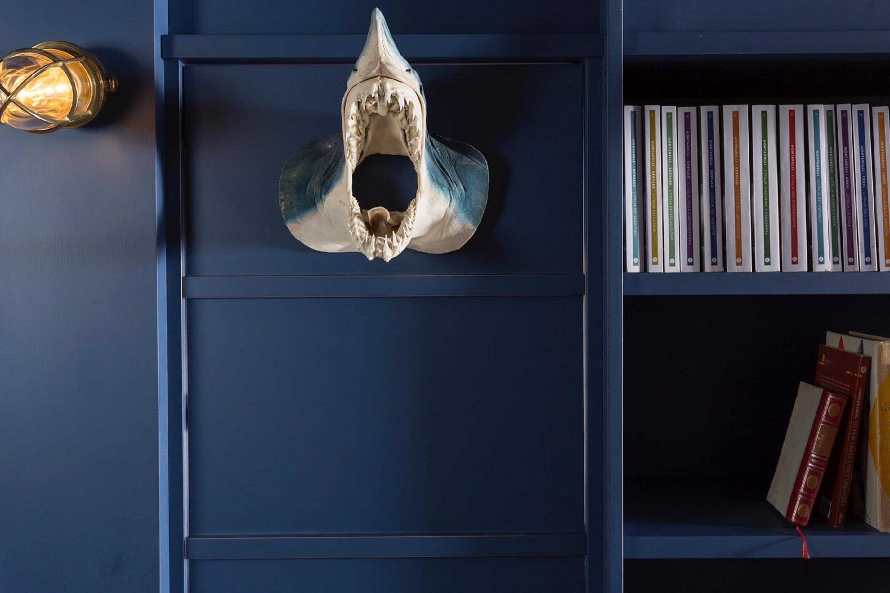 A bookshelf with a shark skull and books.