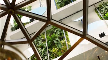 Vista desde la propiedad