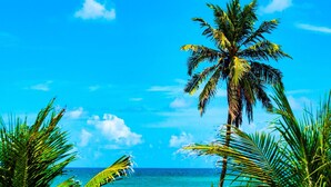 A beach with palm trees and a clear blue sky. - Brisamar Hotel Pousada (Barra de São Miguel)