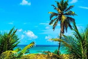 Beach nearby - Brisamar Hotel Pousada (Barra de São Miguel)