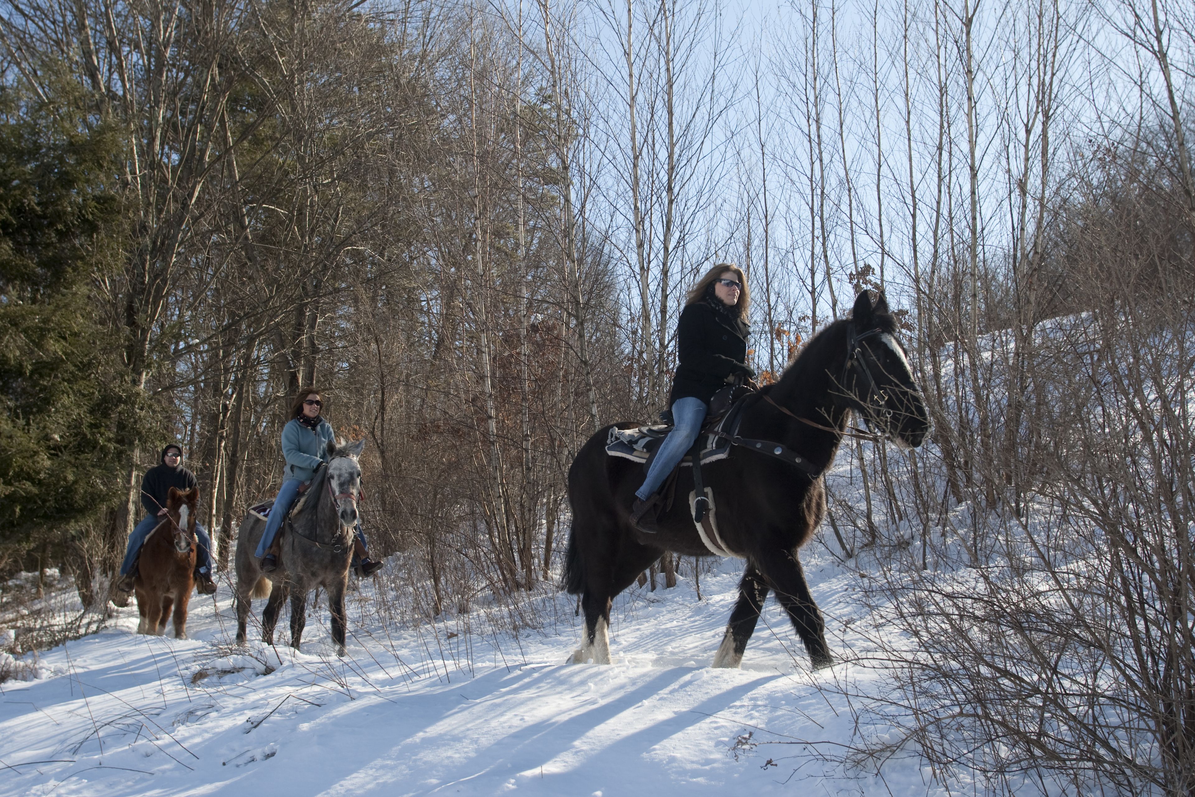 Un groupe de personnes à cheval traversant une forêt enneigée.