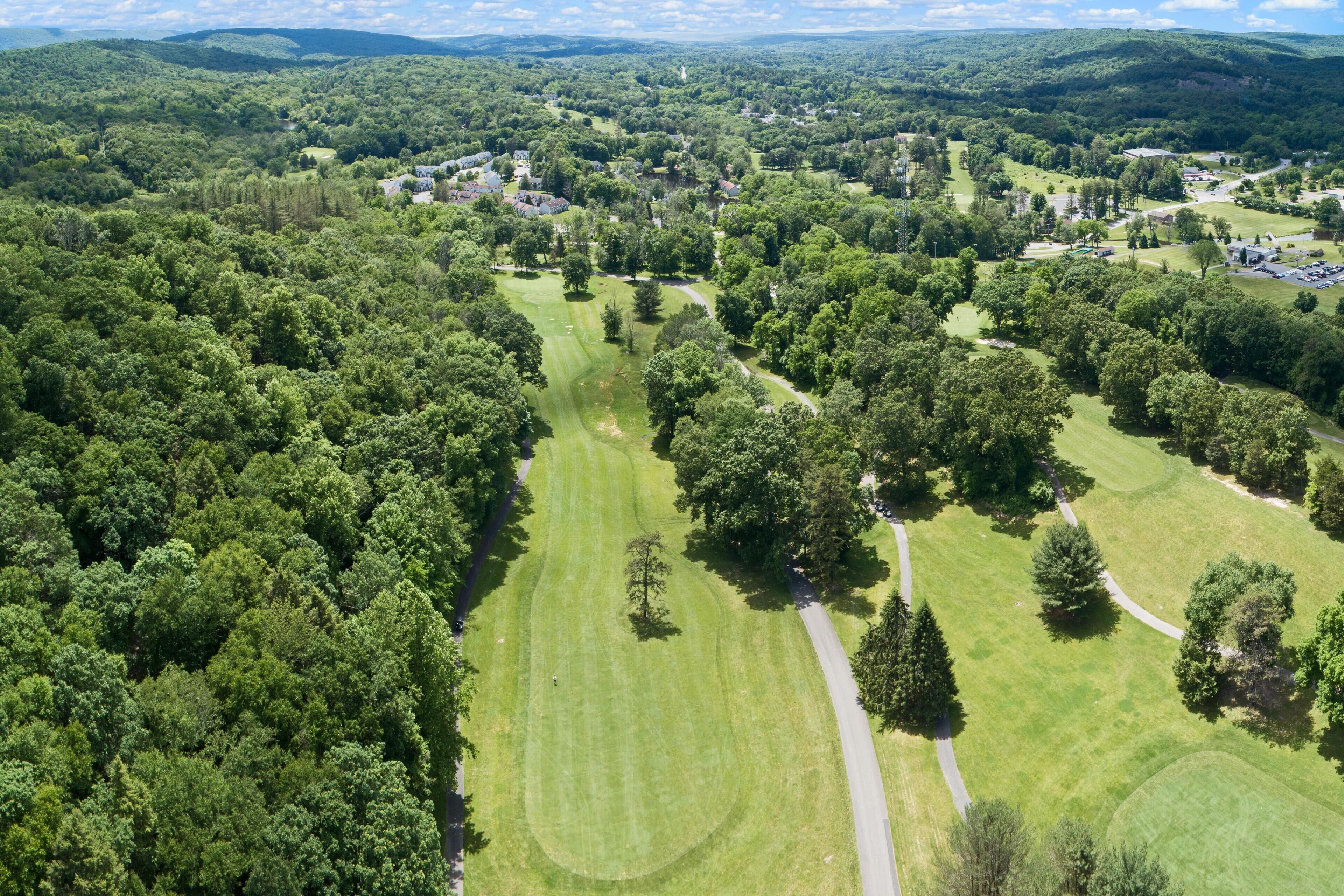 An aerial view of a golf course with lush greenery, a well-maintained fairway, and a few scattered trees.