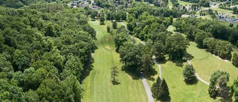 An aerial view of a golf course with lush greenery, a well-maintained fairway, and a few scattered trees.