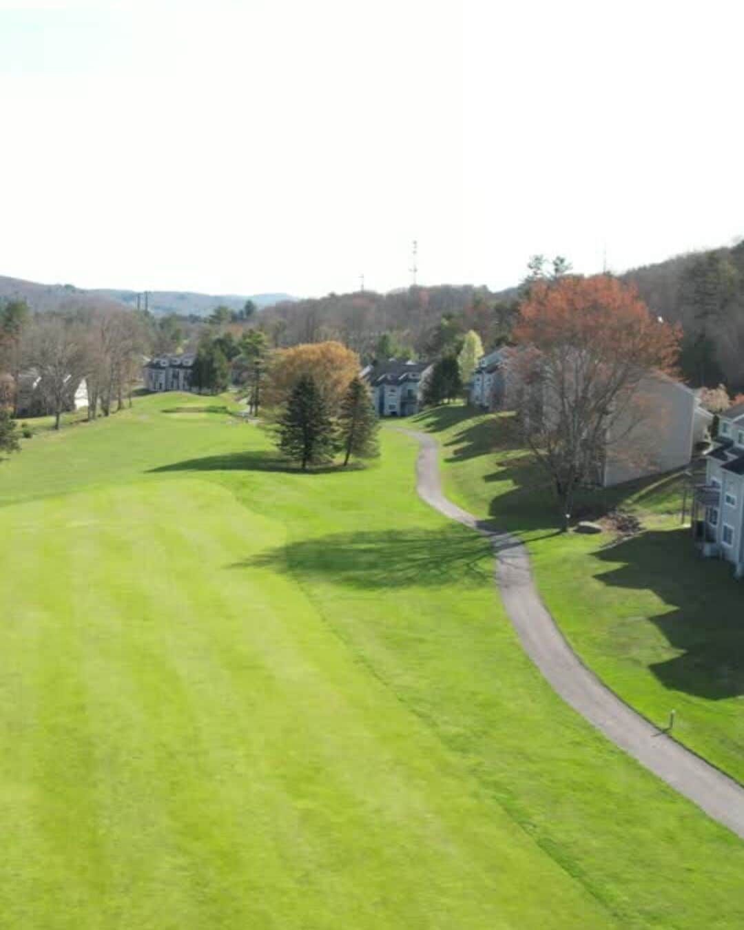 A residential area with a well-maintained lawn, a winding driveway, and multiple houses.