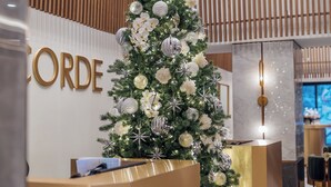 Zona de recepción con un árbol de Navidad, listones de madera y un mostrador de recepción.