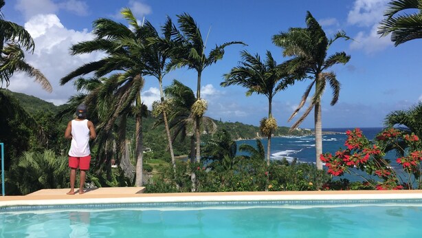 A person standing by a pool with a view of the ocean and palm trees.