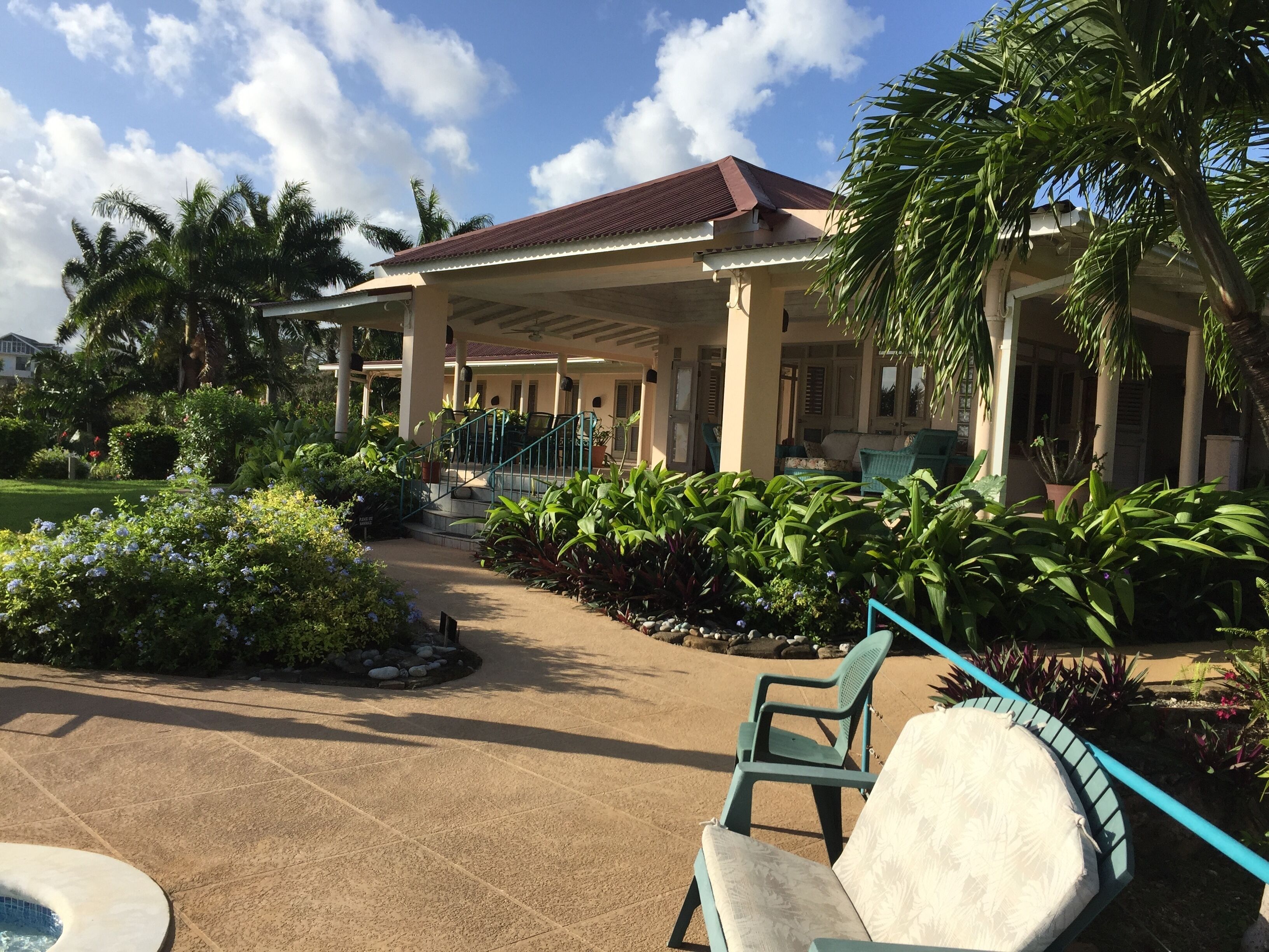 A covered outdoor area with a pool, lounge chairs, and a garden with various plants and a palm tree.