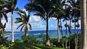 A tropical landscape with palm trees, a grassy area, and a view of the ocean.