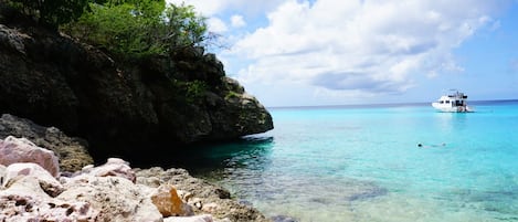 Una playa cerca