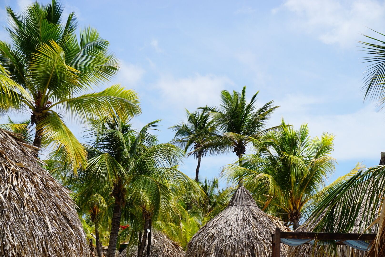 Foto - Boca Simon Vacation Curacao