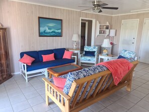 Téléviseur, lecteur de DVD, livres, chaîne audio