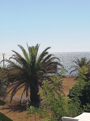 Nicht klassifiziertes Bild, 3 von 38, Schaltfläche