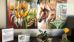 Interior detail - San Remo Hotel (Carazinho)