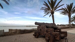 A cannon on a paved area with palm trees and a body of water in the background.